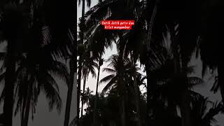 Download lagu seconds the lightning struck /detik detik petir menyambar pohon kelapa #shortsvideo  #petir #viral mp3 Download lagu seconds the lightning struck /detik detik petir menyambar pohon kelapa #shortsvideo  #petir #viral mp3