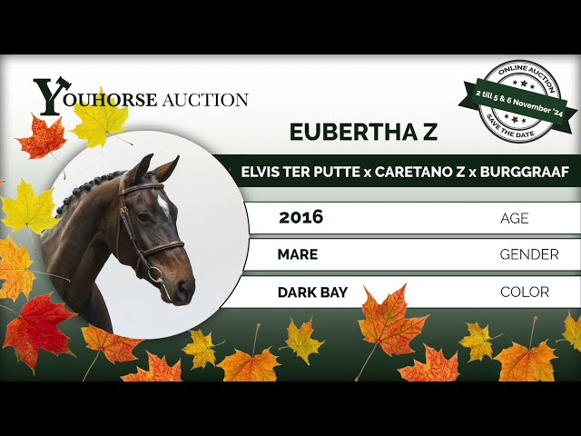 Eubertha showvideo grass