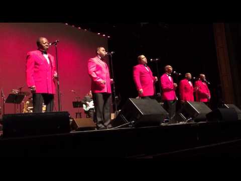 The El Dorados at The Zeiterion Theater,"There In The Night