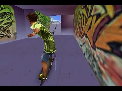 Skater Nation 2010-03-21 14:14:01