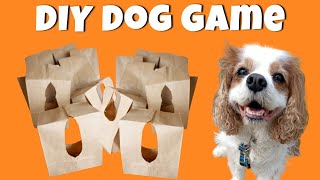 Easy DIY Brain Games for Dogs | Fun Indoor Canine Enrichment for Senior Dogs