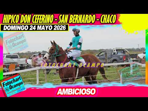 AMBICIOSO San Bernardo CH 21 05 2026