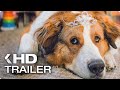A DOG’S JOURNEY All Clips & Trailers (2019)