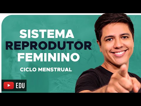 FEMALE REPRODUCTIVE SYSTEM - MENSTRUAL AND OVARIAN CYCLE - Prof. Kennedy Ramos