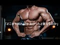ボディコンテストの仕上がりって何?勝つの為の仕上がりの目安をわかりやすく解説