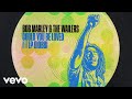 Bob Marley The Wailers LP Giobbi Could You Be Loved With LP Giobbi Visualizer