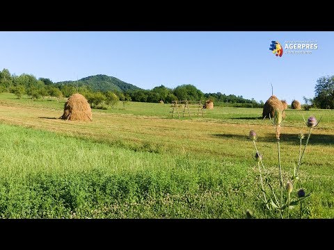 Satul din Ţara Moților: tradiţii vechi la răscruce cu lumea modernă