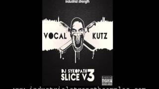 Video thumbnail for DJ Sykopath Slice Vol 3 - Vocal Kutz - Sample Pack by Industrial Strength Records