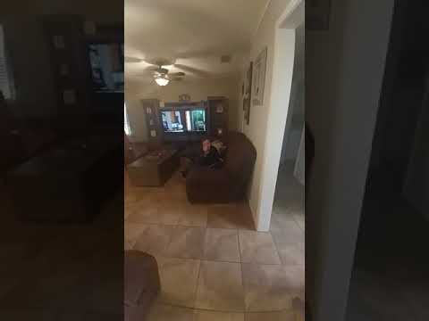 Scaring the kids with air horn compilation.