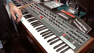Sequential Prophet-6 - What To Know & Where To Buy | Equipboard