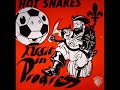 Hot Snakes - This Mystic Decade