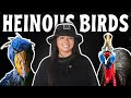 Why I Still Have A Problem With Birds DEFAULT Thumbnail