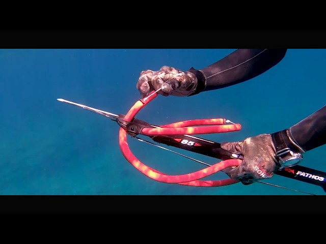 Arbalète Pathos Sniper Roller vidéo