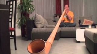 Eric Marclay - 60 secondes Didgeridoo challenge