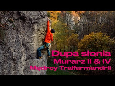 Jesienna Dupa Słonia // Murarz 2 & 4 // Mędrcy