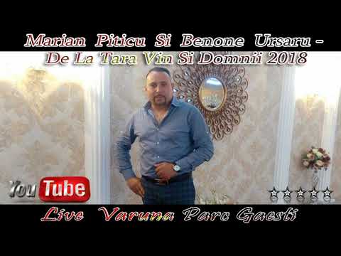 Marian Piticu & Benone Ursaru – De la tara vin si domnii Video
