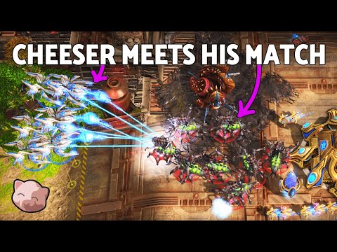 Cannon Rusher gets a taste of Zerg Karma! | Smooth Brain Boanaan #3 - StarCraft 2