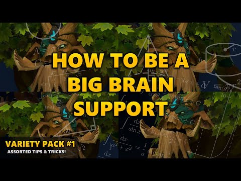 How to be a BIG BRAIN Support Player | Dota 2 Tips & Tricks
