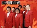 MI PELICULA 262.LOS PALMERAS.LLEVAME ...