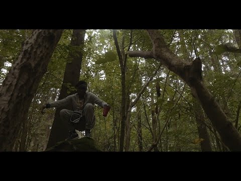 J-Zino- Jungle Fever (Official Video)