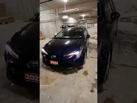 2022 Toyota Corolla in Blue for sale at North London Toyota in London, ON