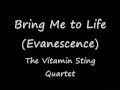 Bring Me To Life-The Vitamin String Quartet