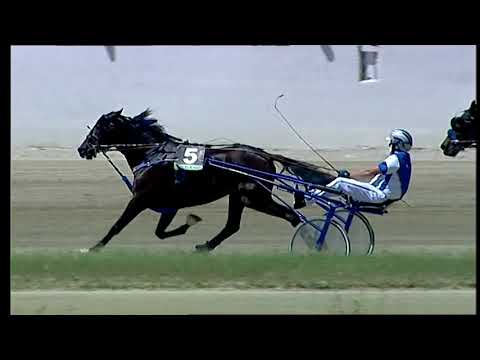 Napoli Trotto 21/05/2021 - 1ª corsa