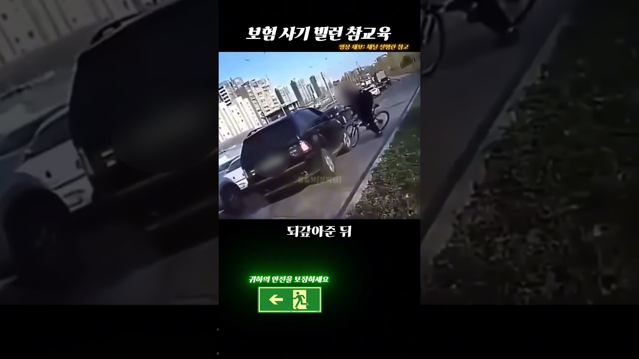 상남자의 보험사기 대처법