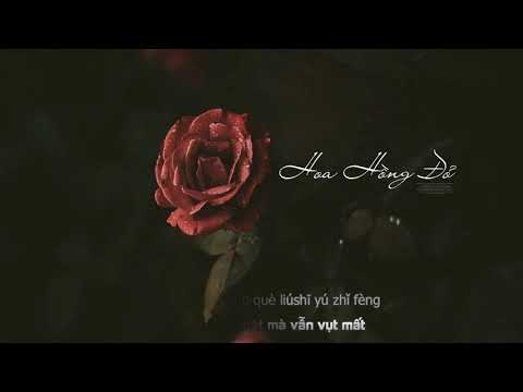 [Vietsub + Pinyin] Hoa hồng đỏ - 红玫瑰 || Bành Tịch Ngạn - 彭席彦