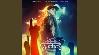 Voy Por El Sueno de Muchos