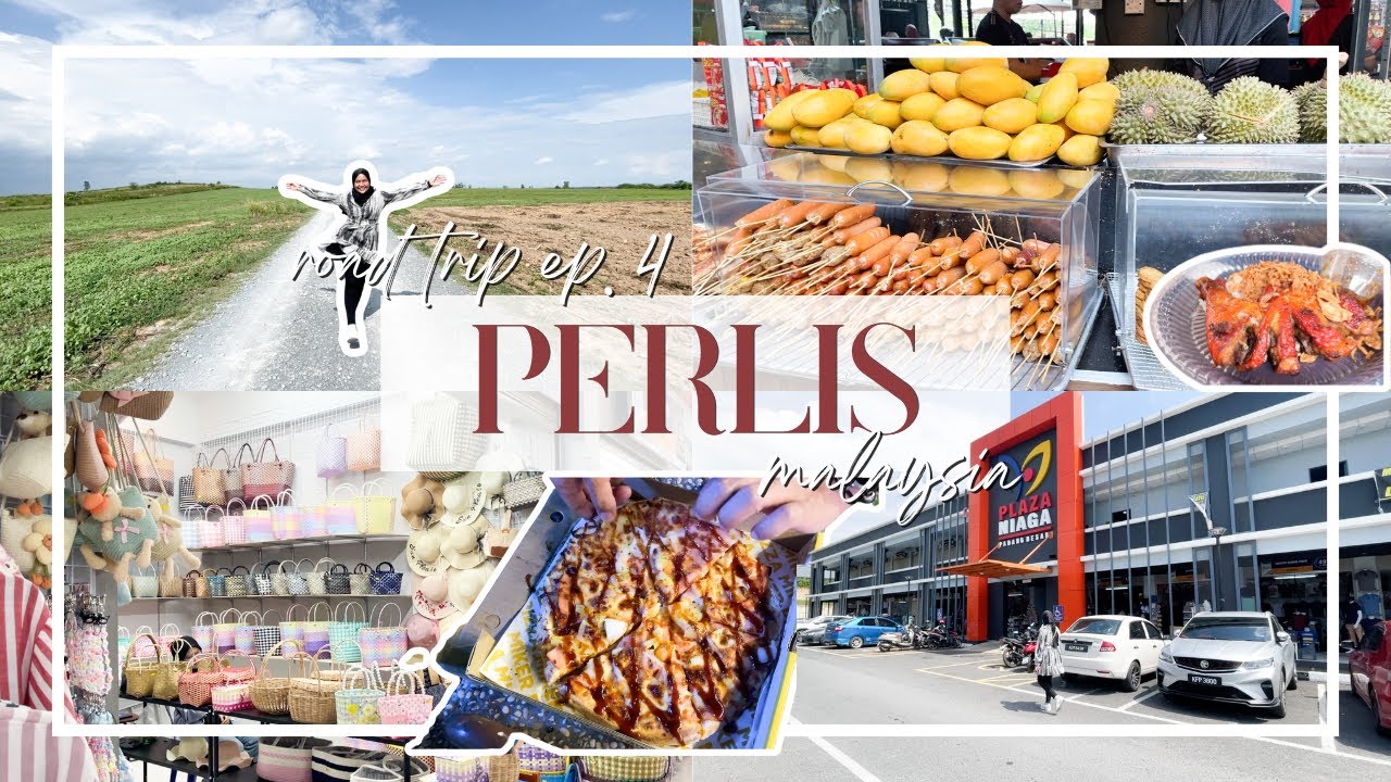 MALAYSIA ROAD TRIP ep.4 ♥ PERLIS | Padang Besar, Border Kitchen, Ladang Kenaf | Travel Cost & Guide