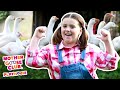 Old MacDonald Had A Farm Music Video Mother Goose Club Playhouse Songs Rhymes