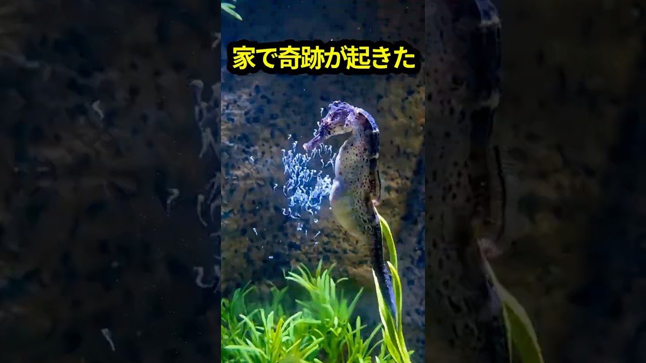 家で起きた奇跡…助けた命が見せた“信じられない瞬間”