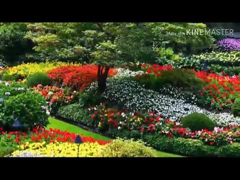 Hatko ghadi nau baje damdine Maya hoo sim sim panima kanchha kchhara kinda ganima