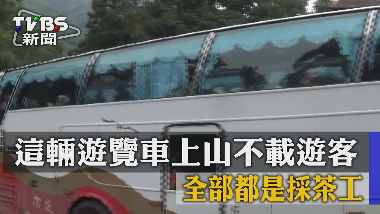 這輛遊覽車上山不載遊客 全都是採茶工