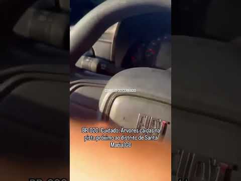BR-020: Cuidado; Árvores caídas próximo ao distrito de Santa Maria/GO