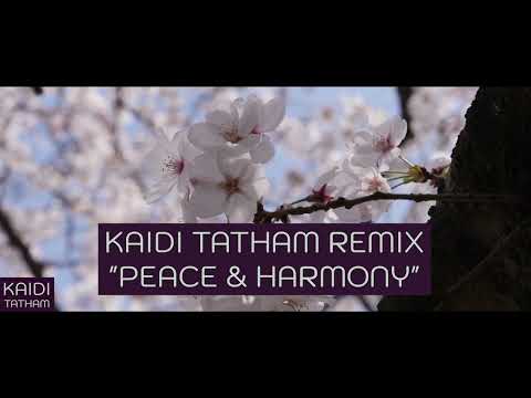 Kaidi Tatham Remix "Peace & Harmony"