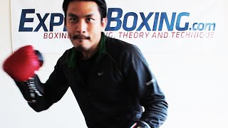 VIRTUAL SPARRING (BOXING) - boxing tricks, feints, and setups