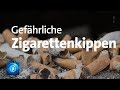 Gefahr für die Umwelt: Zigarettenstummel