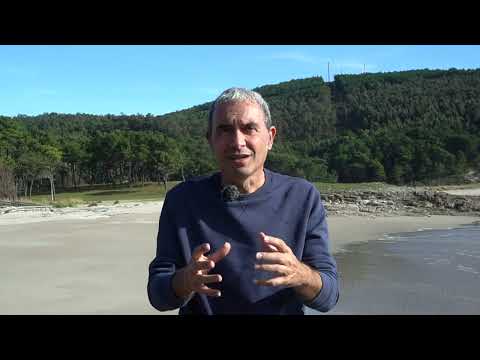 Vídeo: Cambian de forma as praias?