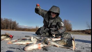 Зимняя рыбалка окунь первый лед