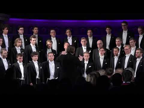 Lund Studentsångare sjunger "I furuskogen" av Wilhelm Peterson-Berger