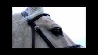 Download lagu Anne Marit & Tango mp3