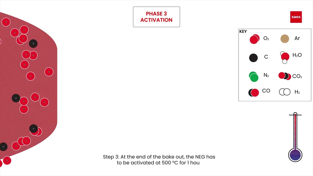 Pills of NEG: NEG, how it works