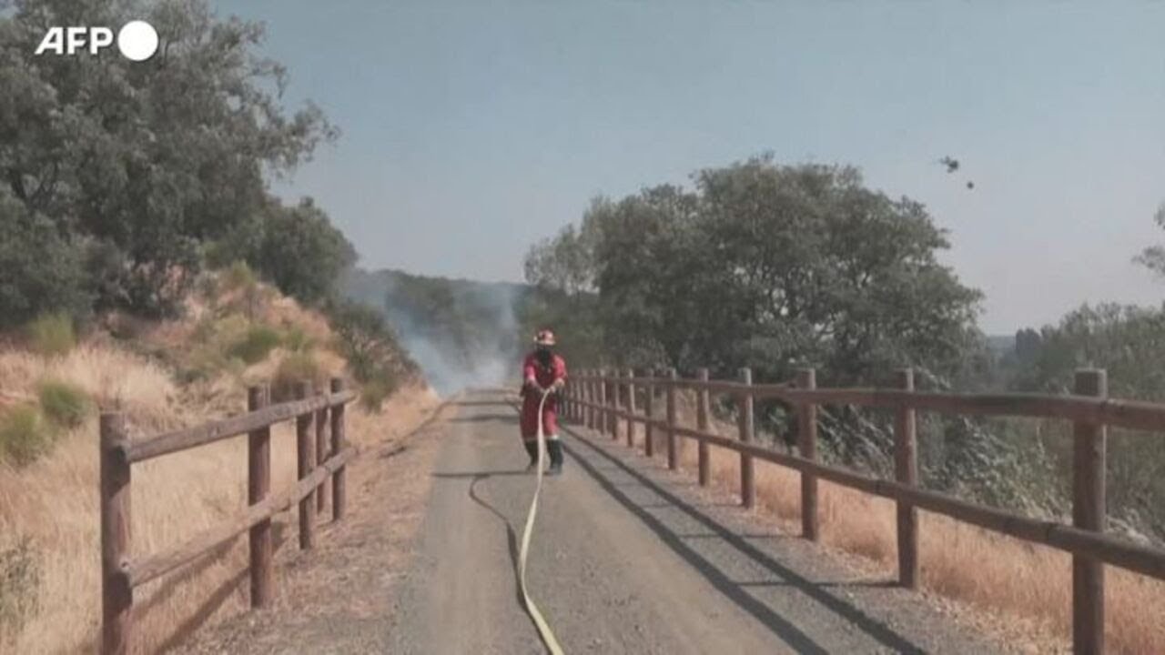 Incendio in Estremadura, quest'anno bruciati quasi 100mila ettari in Spagna