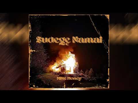 Mike Money - Sudegę Namai