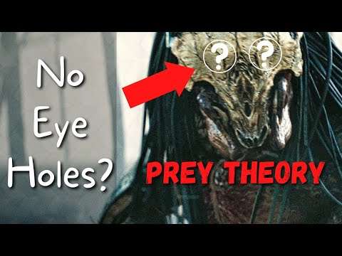 WHY No Eye-Holes? | Feral Predator BLIND? | PREY Theory