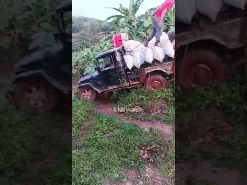 ¡Susto en Alto Sicararare! 😱🚙