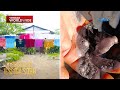 Magkakamag-anak, nameligro ang buhay matapos makuryente sa sampayan | Kapuso Mo, Jessica Soho