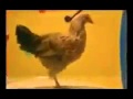 Танцующая курица 